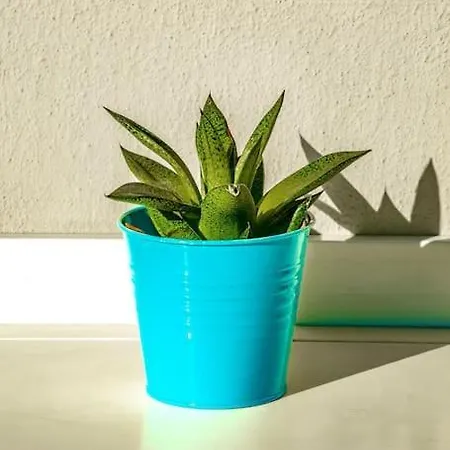 Shiny And Relaxing 5th Floor Apartamento *